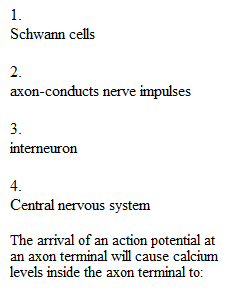 Module 5 Quiz_